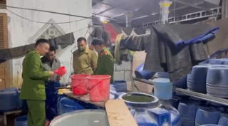 Phát hiện cơ sở dùng hóa chất kích thích tăng trưởng giá đỗ