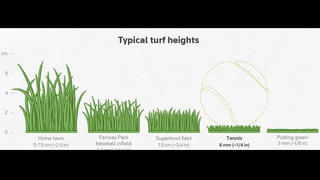 Bí mật về sân cỏ Wimbledon