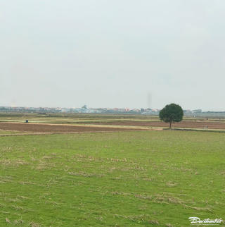 Ra đồng ngày xuân