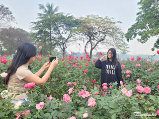 Người dân thích thú giữa 'rừng' hoa hồng tại Công viên Thống Nhất