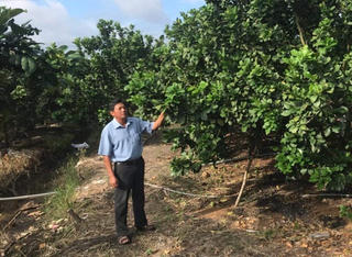 Vũ Đình Tứ - Người nông dân sản xuất giỏi ‎trên đất phèn Bình Chánh