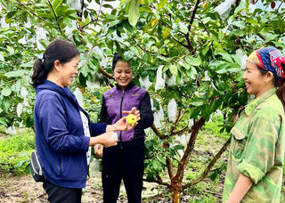 Giúp người dân phát triển kinh tế