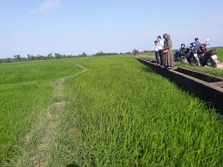 Thời tiết thuận lợi, nông dân Quảng Trị phấn khởi bước vào sản xuất vụ đông - xuân