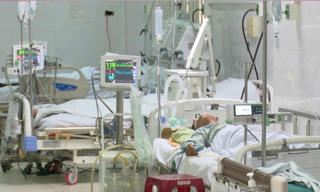 Quảng Nam: Cảnh báo ngộ độc thực phẩm từ những vụ cá chép ủ chua