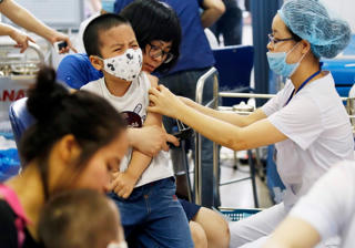 Dịch cúm gia tăng: Liệu có lây lan, đột biến?