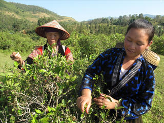 Tạo đồng thuận thực hiện hiệu quả Chương trình 1719