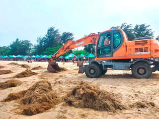 Hải Phòng: Hàng trăm tấn rong biển 'tấn công' bãi tắm Đồ Sơn