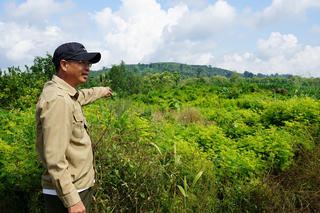 Thu hồi đất lâm nghiệp giao khoán: Khó chồng khó