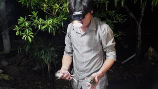 Mùa bắt ếch đồng ở miền Tây