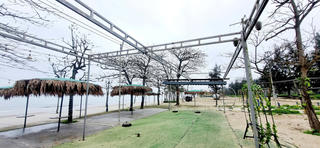 Xung quanh việc chấm dứt kinh doanh dịch vụ ven biển Cửa Lò