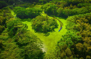 Miền Tây - tình đất, tình người