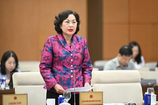 Ngân hàng Nhà nước chỉ cho vay đặc biệt đối với 2 trường hợp