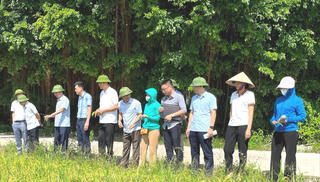 Hải Dương: Dự kiến năng suất lúa mùa tăng 2 tạ/ha