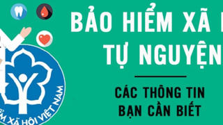 Hỗ trợ tiền cho người tham gia bảo hiểm tự nguyện
