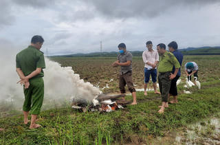 Quảng Bình: Ngăn chặn nạn tận diệt chim trời