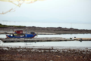 Khi bãi triều bị lấn chiếm