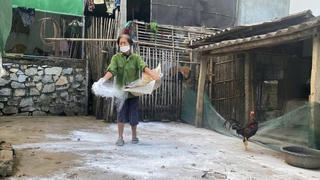 Dịch tả lợn châu Phi tái phát