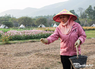 Thiên đường hoa Quảng La tất bật chuẩn bị đón khách du xuân