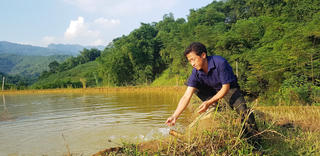 Khắc khoải Suối Tôn