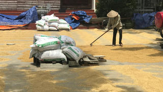 Sân kho hợp tác xã