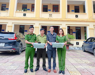 Người dân Hà Tĩnh giao nộp nhiều cá thể rùa quý hiếm 