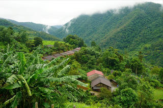 Đi tìm nỗi nhớ ấy