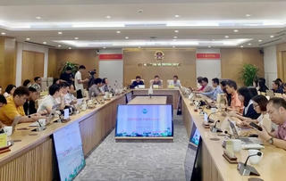 Gần 350 cuộc tấn công mạng trong tháng 8/2024