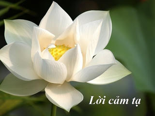 Lời cảm ơn