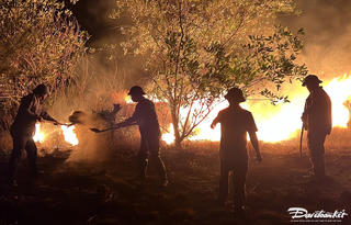 Quảng Bình: Huy động hơn 400 cán bộ, chiến sĩ khống chế vụ cháy rừng ven biển