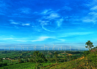 Tất toán 4 lô trái phiếu, dư nợ Phong điện Yang Trung còn bao nhiêu?