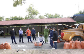 Bắt một đối tượng vận chuyển hơn 1 tấn chất độc xyanua từ Hà Nội về Lai Châu