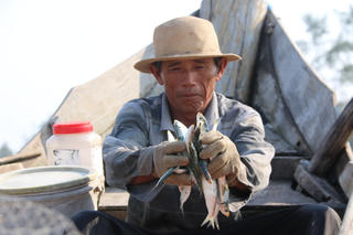 Ngư dân vui mừng đón lộc biển