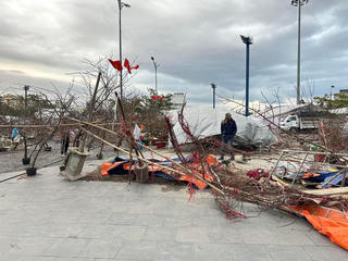 Quảng Ninh: Gió mùa về lúc rạng sáng, nhiều chợ hoa xuân tan tác
