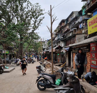 Hà Nội: Xử phạt doanh nghiệp tự ý chặt hạ cây xanh