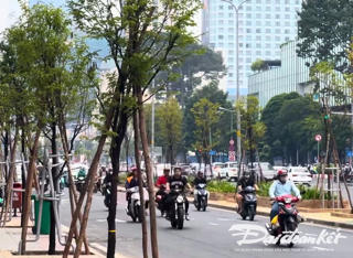 TP HCM: Đường Lê Lợi trồng lại cây xanh sau 'đề xuất lắp mái che'
