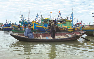 Những bóng hồng mùa biển động