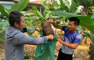 Lên Minh Hóa 'săn'... kiến