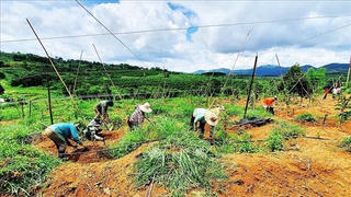 Kon Tum: Triển khai hiệu quả chính sách đất đai đối với đồng bào dân tộc thiểu số