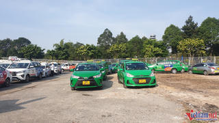 TP Hồ Chí Minh: Loay hoay tìm bãi đậu xe taxi