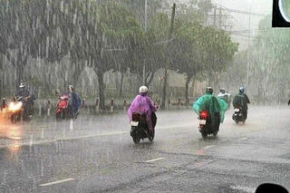 Thời tiết ngày 8/11: Mưa lớn ở nhiều nơi, Hà Nội lạnh về sáng và đêm