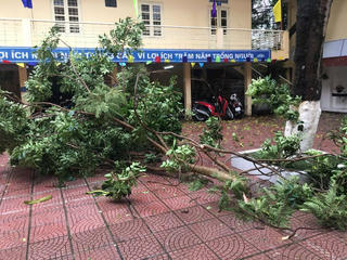 Hà Nội có 126 trường tạm dừng học trực tiếp do mưa lớn