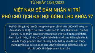 Từ 13/9, Việt Nam sẽ đảm nhận vị trí Phó Chủ tịch Đại hội đồng LHQ