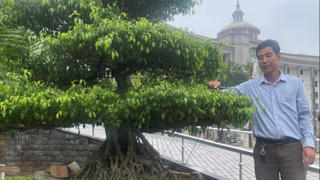 Hướng tới Đại hội đại biểu toàn quốc Người Công giáo Việt Nam xây dựng và bảo vệ Tổ quốc lần thứ VIII, nhiệm kỳ 2023-2028 - Người của xóm làng, xứ đạo