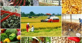 Bảo đảm an ninh lương thực trong mọi tình huống