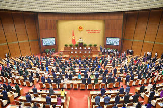 'Kê đơn, bốc thuốc'
