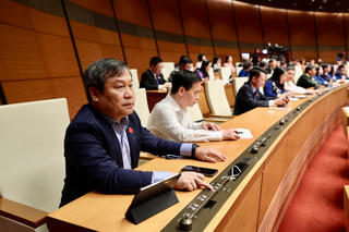 Giá khởi điểm đấu giá biển số xe ô tô là 40 triệu đồng