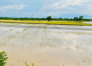 Lâm Đồng: Thiệt hại 4,85 tỷ đồng do mưa lớn kéo dài