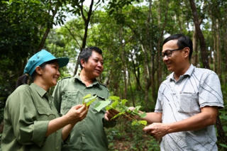 Xóa định kiến giới trong phát triển lâm nghiệp