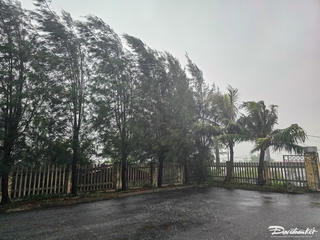 Ninh Bình: Mưa lớn, gió giật