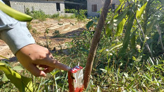 Quảng Trị: Thông tin mới nhất về việc triển khai cao tốc Vạn Ninh - Cam Lộ